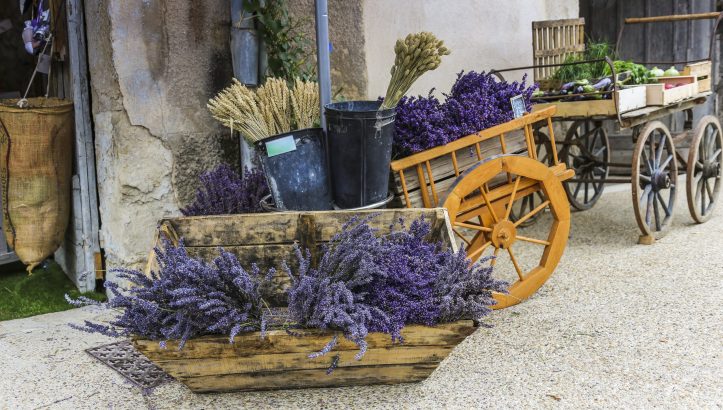 Provence Healing Holiday