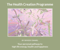 Health Creation Programme Online (for those buying Individual Mentor Hours)
