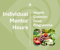 Individual Mentor Hours for those working on the Health Creation Food Programme